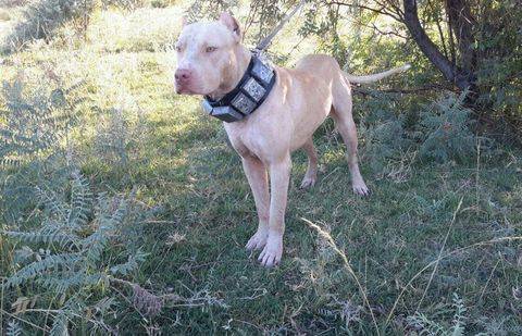 Фото из соцсетей