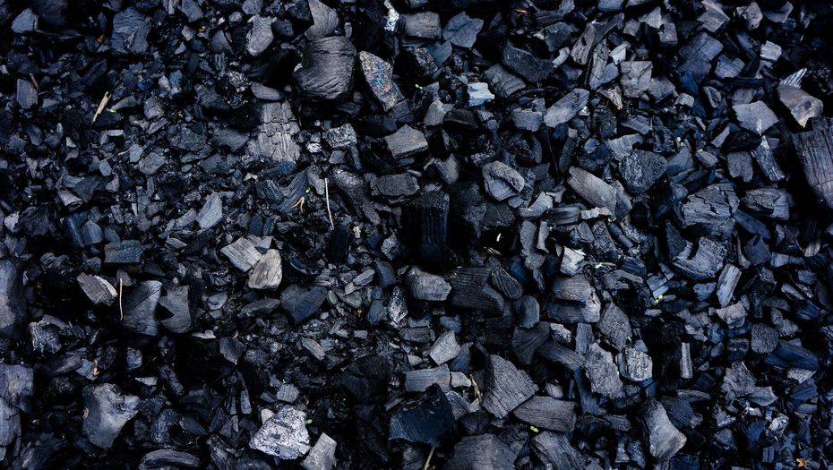 Фото с сайта shutterstock.com