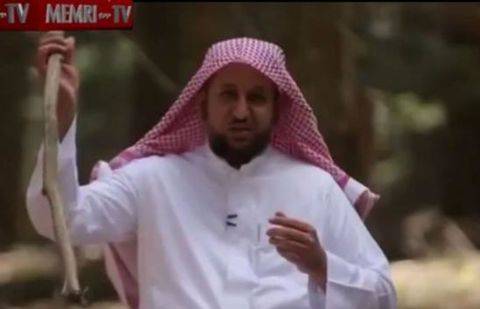 Кадр видео MEMRITVVideos / YiouTube