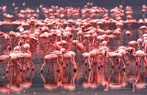 Фото с сайта vechastana.kz