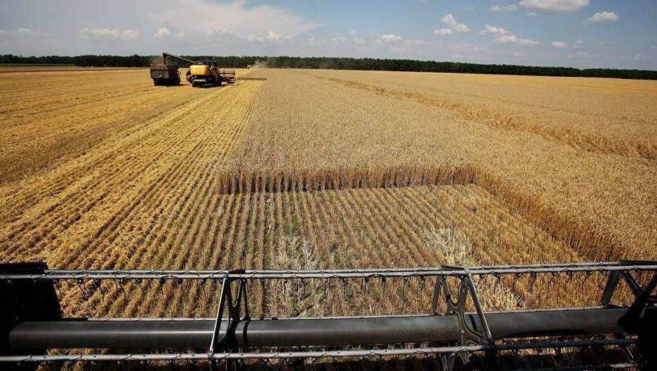 Новые технологии позволили получить вдвое больше урожая пшеницы в Костанайской области