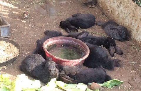 Фото Маргариты Сулейменовой