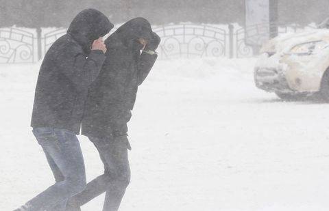 Фото с сайта ntv.ru