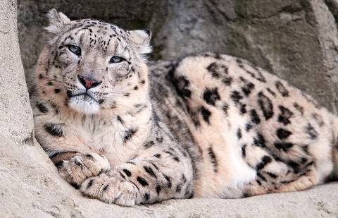 Фото с сайта 7-themes.com