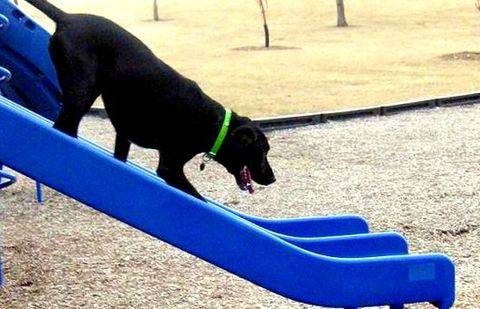 Фото с сайта pg21.ru