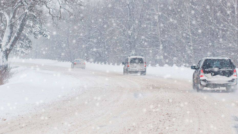 Фото с сайта shuttestock.com
