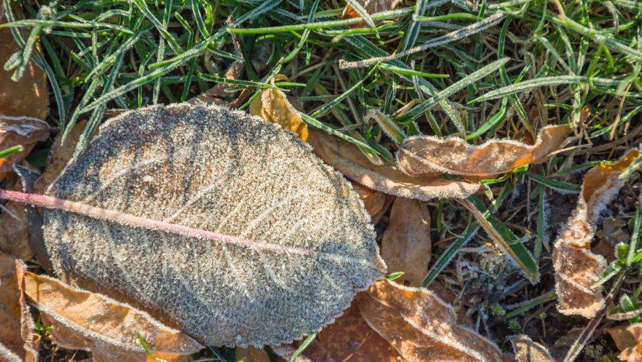 Фото с сайта shutterstock.com