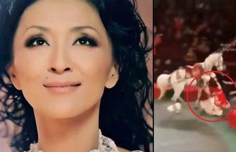 Фото: baistars.kz