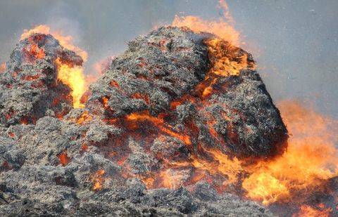 Фото: Informburo.kz