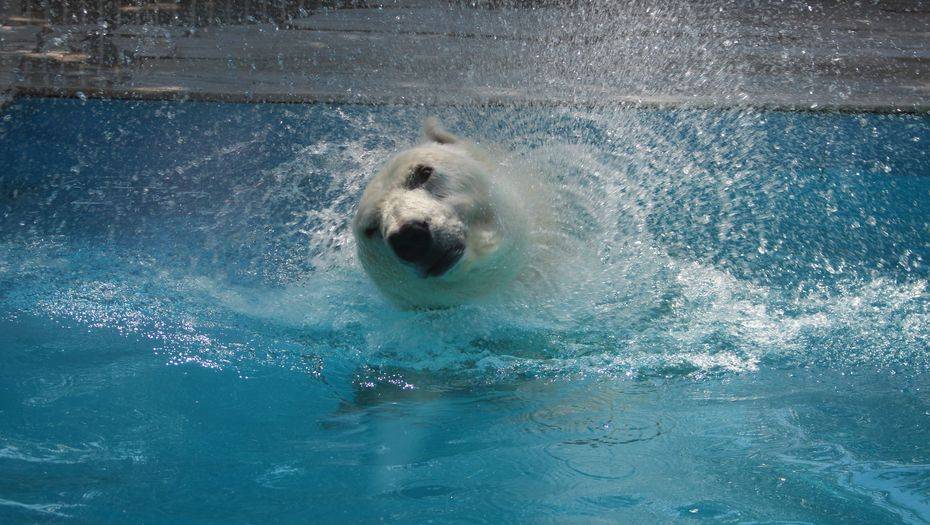 Фото Informburo.kz