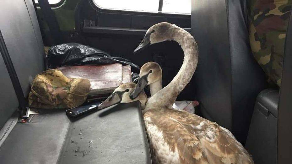 Фото со страницы Сакена Дилдахмета в Facebook