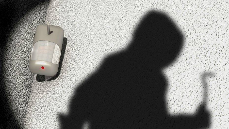 Фото с сайта shutterstock.com