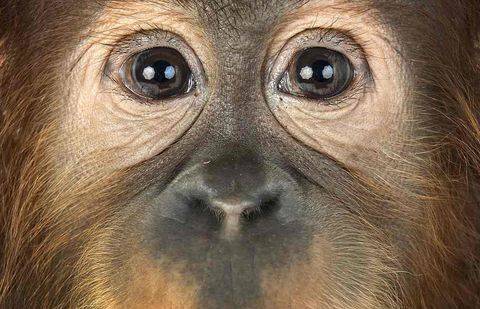 Фото с сайта lamp.today