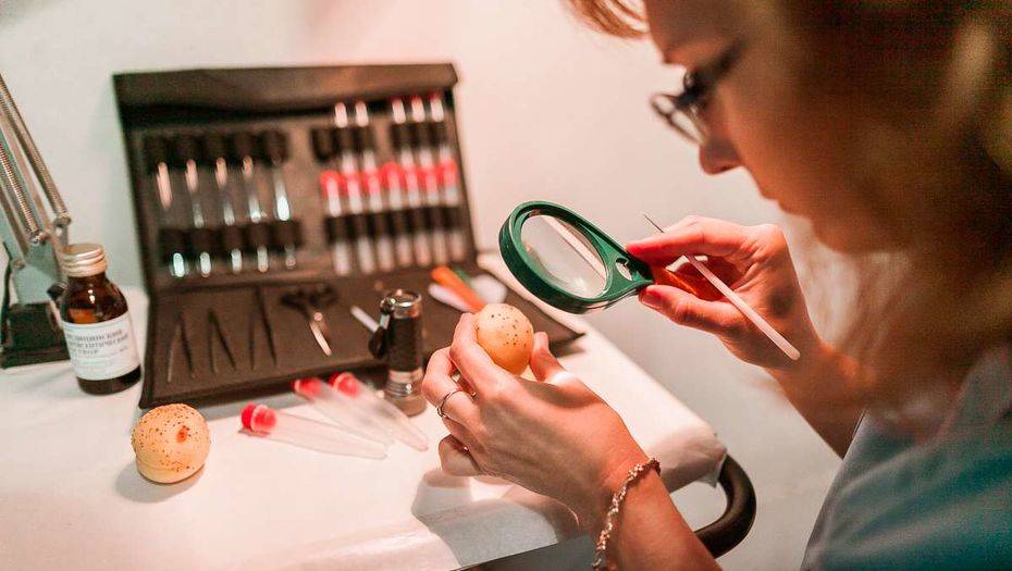 В Казахстане на дорогах республиканского значения появятся посты ветконтроля