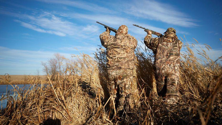 Фото с сайта shutterstock.com