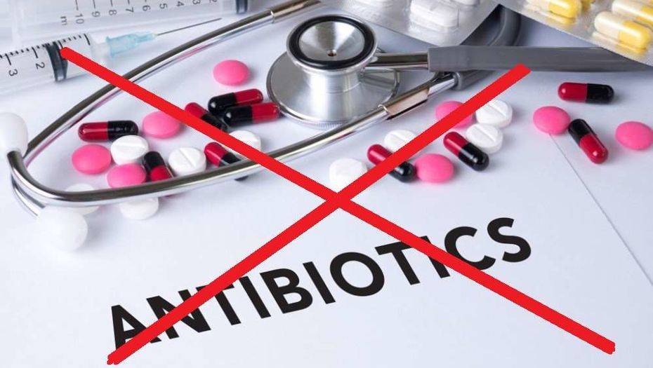 7-20-25: қазақстандықтар өз мүмкіндіктерін онлайн тексере алады. Жаңалықтарға шолу