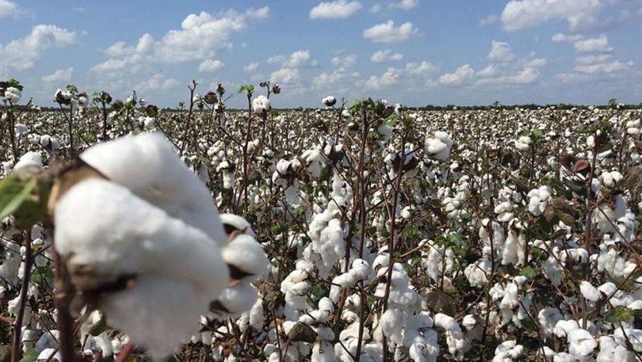 Фото с сайта newstracker.ru