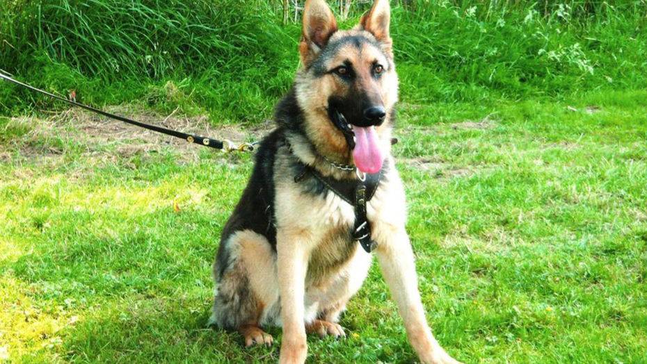 Фото с сайта rebenok-umnik.ru