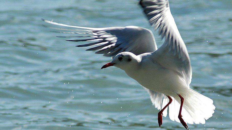 Фото Marcel Burkhard