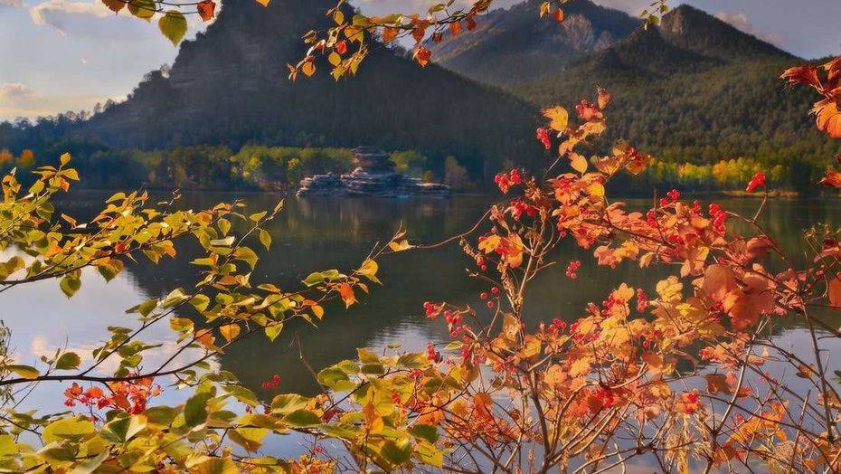 Фото с сайта yandex.kz