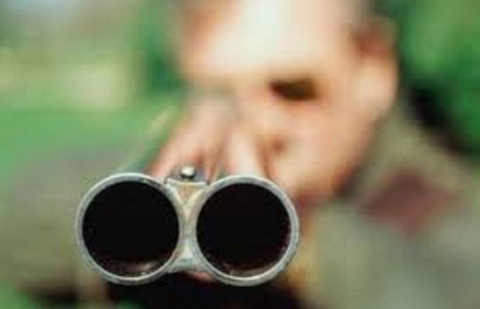 Фото с сайта deita.ru