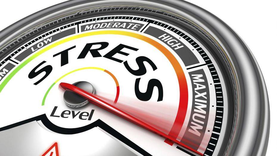 Фото drelaine.com