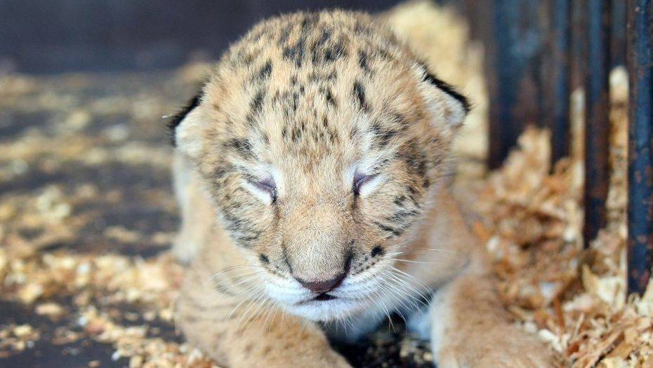 Фото Агентства городских новостей "Москва"