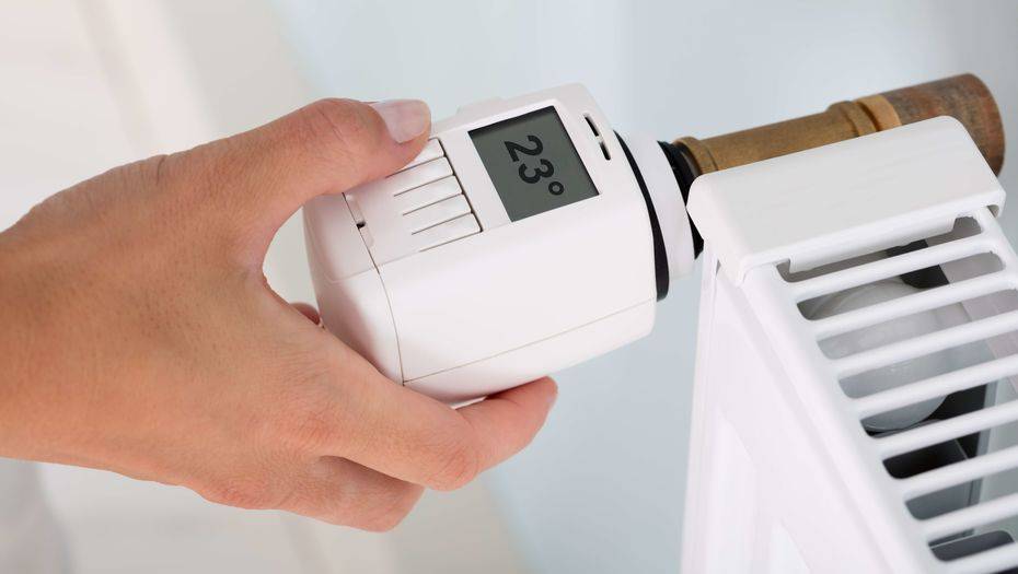 Фото с сайта shutterstock.com 