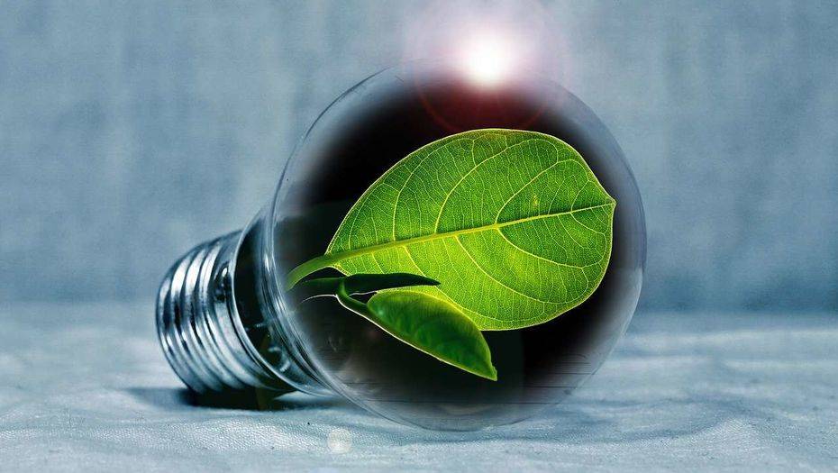 Фото с pixabay.com