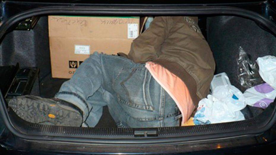 Фото с сайта svopi.ru