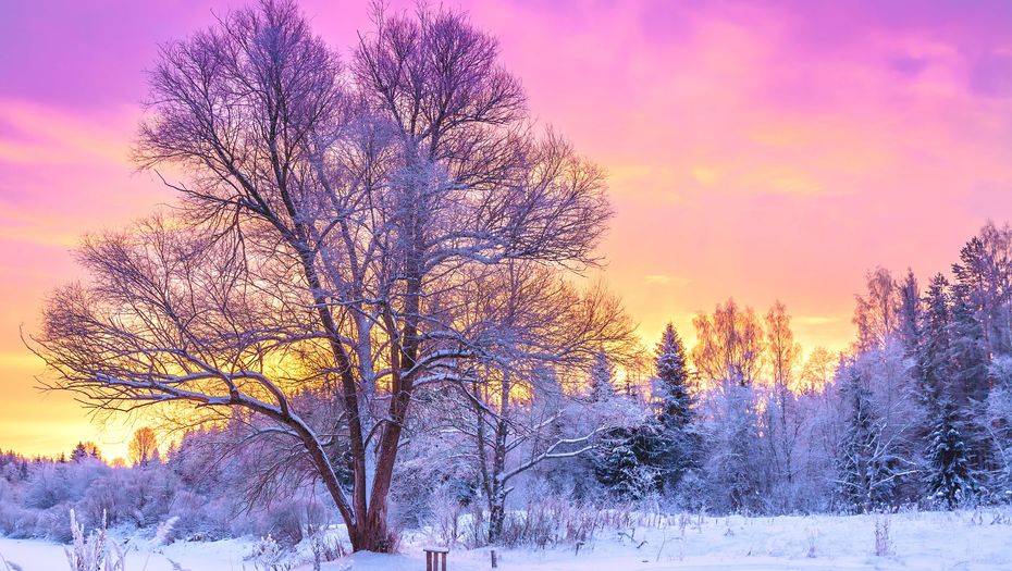 Фото с сайта shutterstock.com