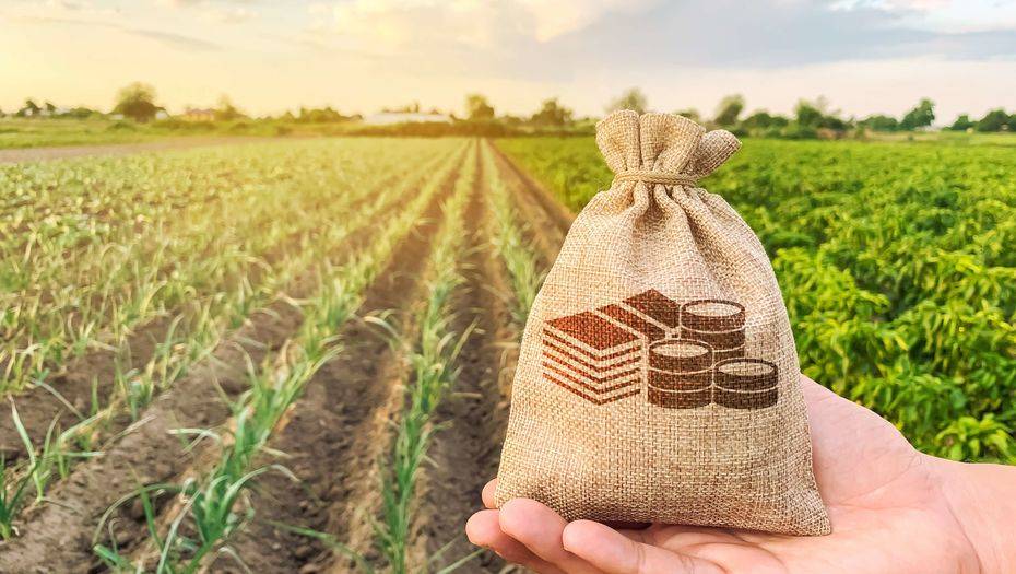 Сурет shutterstock.com сайтынан алынды