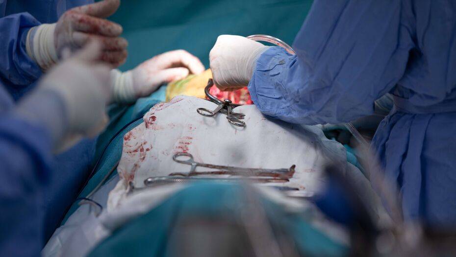 Фото Герарда Ставрианиди