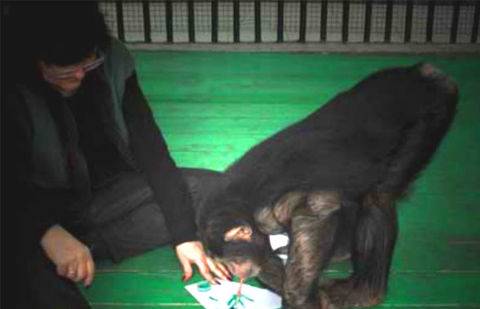 Фото предоставлено зоопарком Алматы