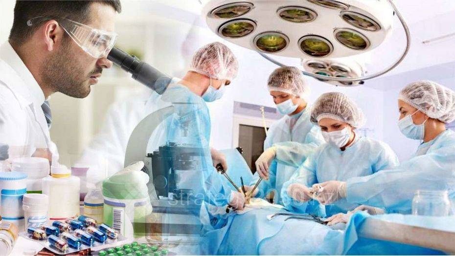 Фото с сайта Strategy2050.kz