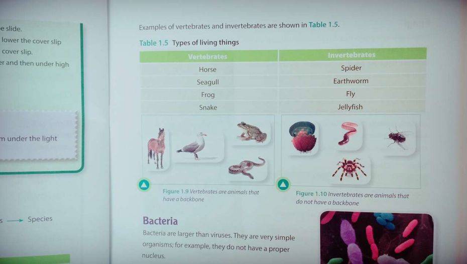 Фото с сайта BNews.kz