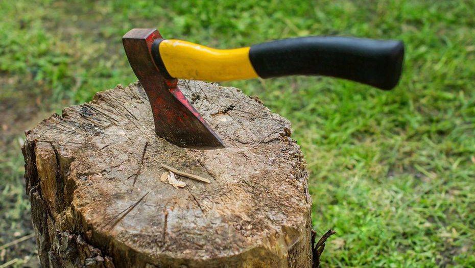 Фото с сайта eater.com