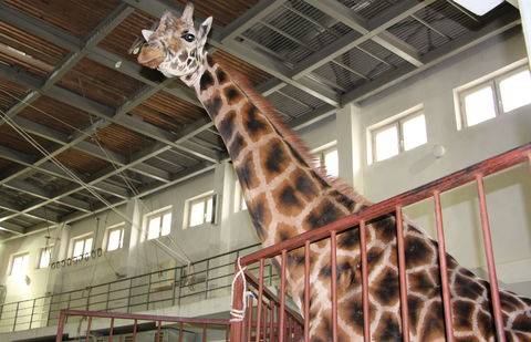 Фото informburo.kz