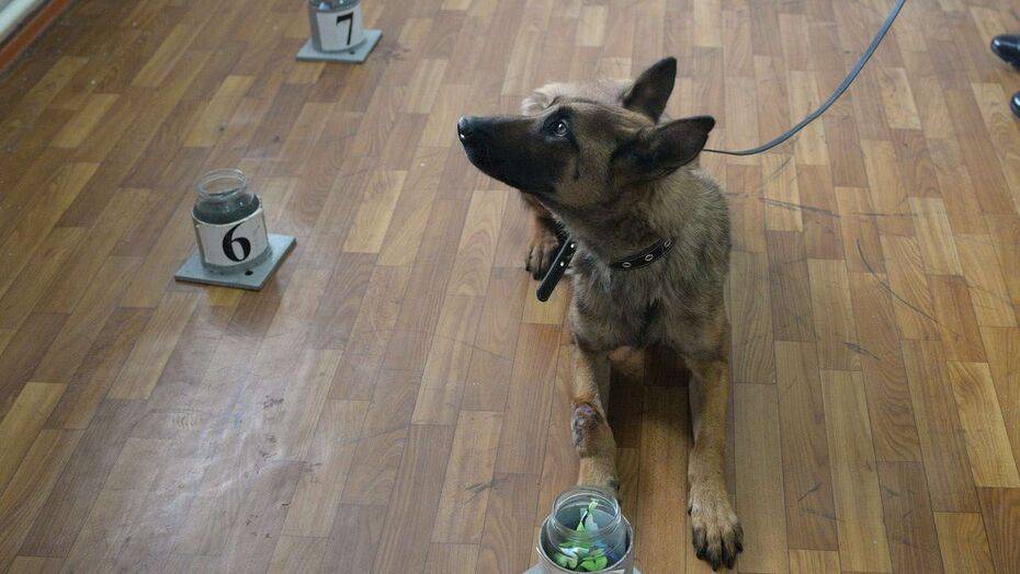 Фото: Informburo.kz