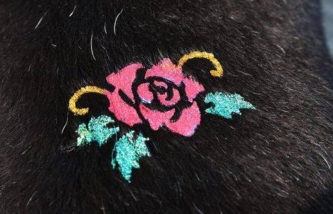 Фото газеты "Наш Костанай"