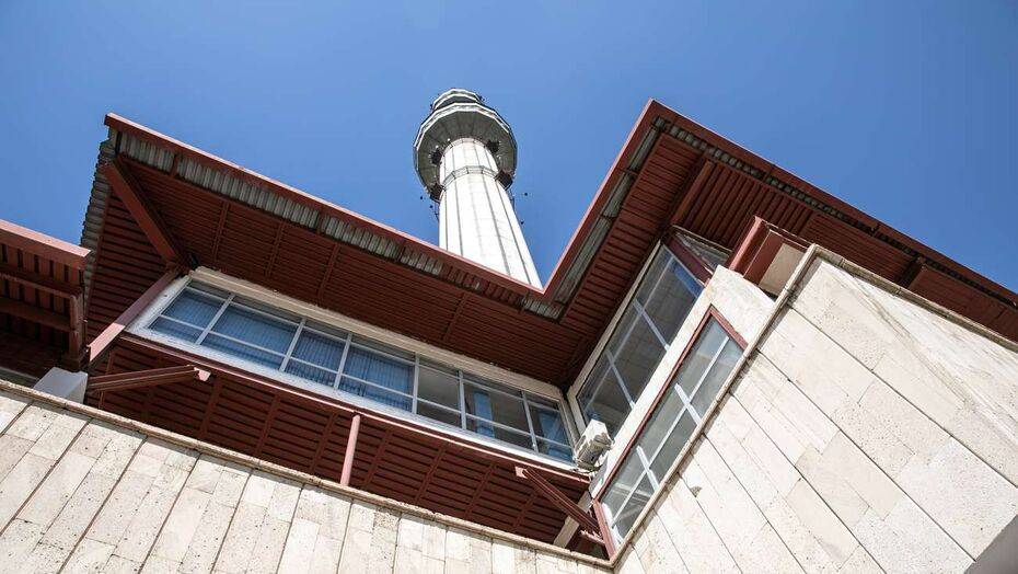 Фото Алмаза Толеке