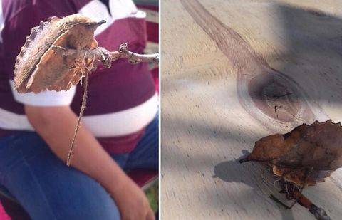 Фото группы aktobe_zello в Instagram