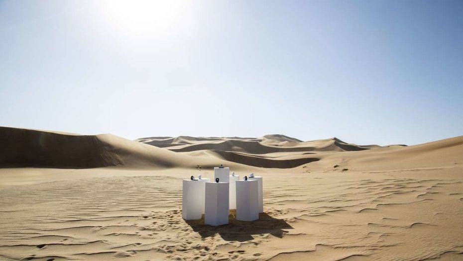 maxsiedentopf.com/toto-forever