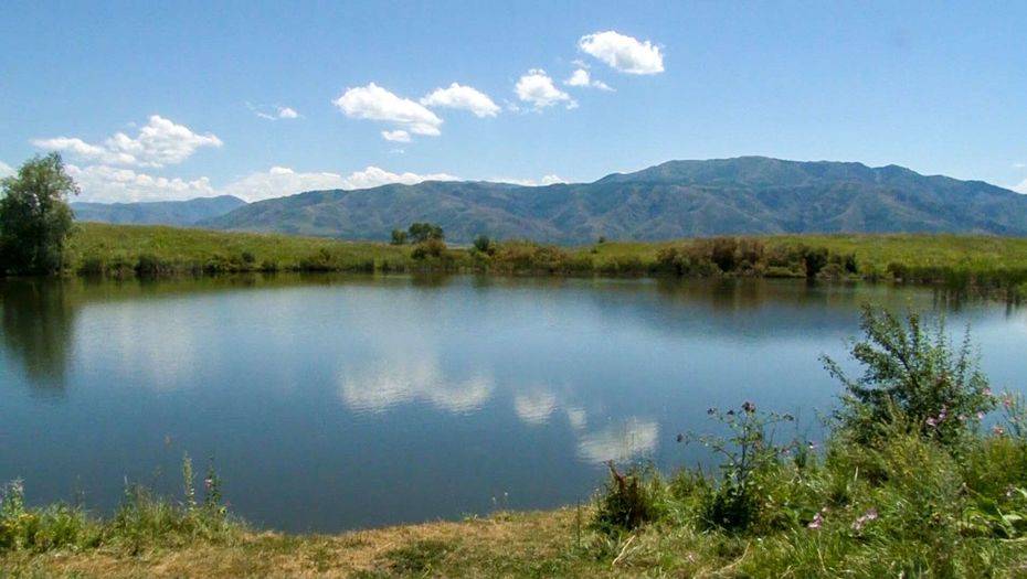 Фото informburo.kz