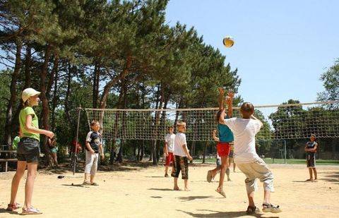 Фото с сайта azgard-spb.ru