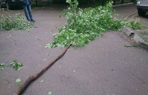 Фото Светланы Позняковой/Facebook