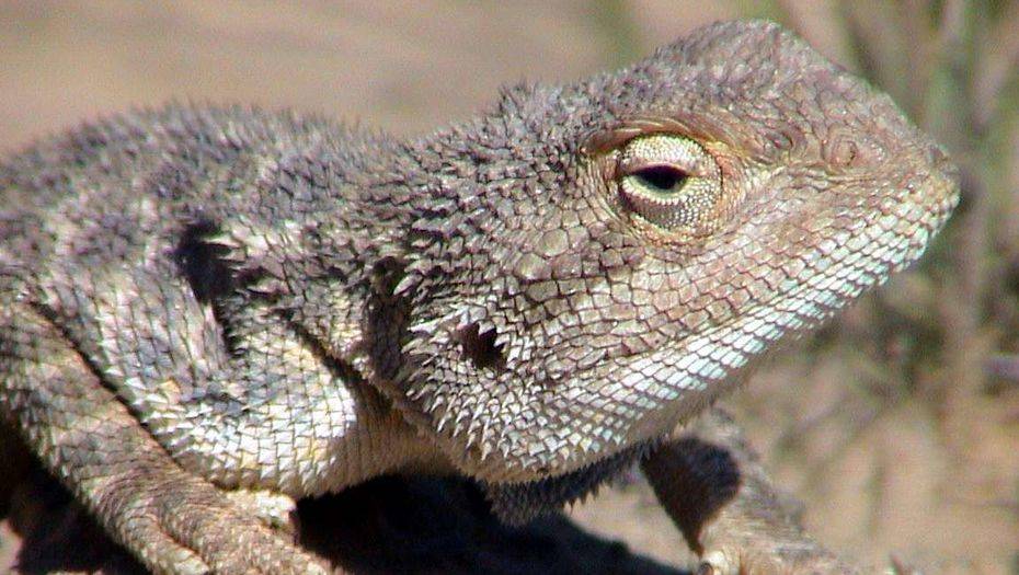 Фото Андрея Михайлова