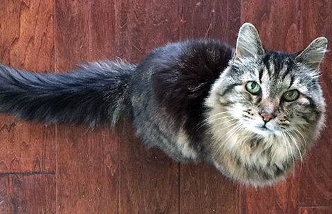 Фото с сайта guinnessworldrecords.com