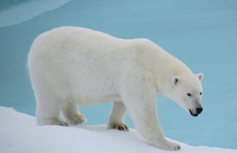 Фото с сайта allday2.xyz