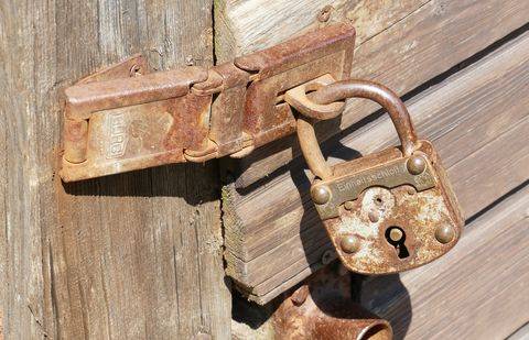 Фото с сайта pixabay.com